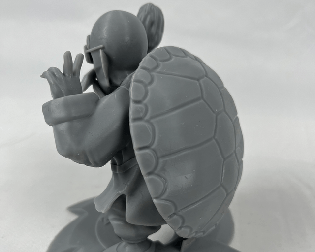 Roshi ( Tortue Géniale )